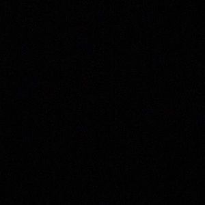 Meet your Posher, Sophie